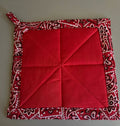 Hot Pads (Spring)